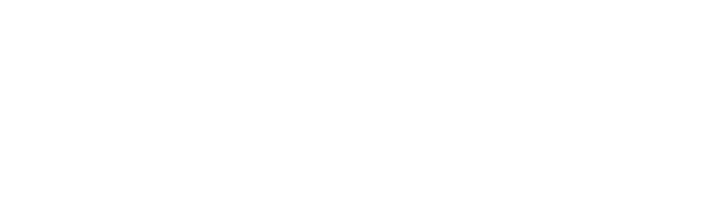 Triple S Main Logo (White)